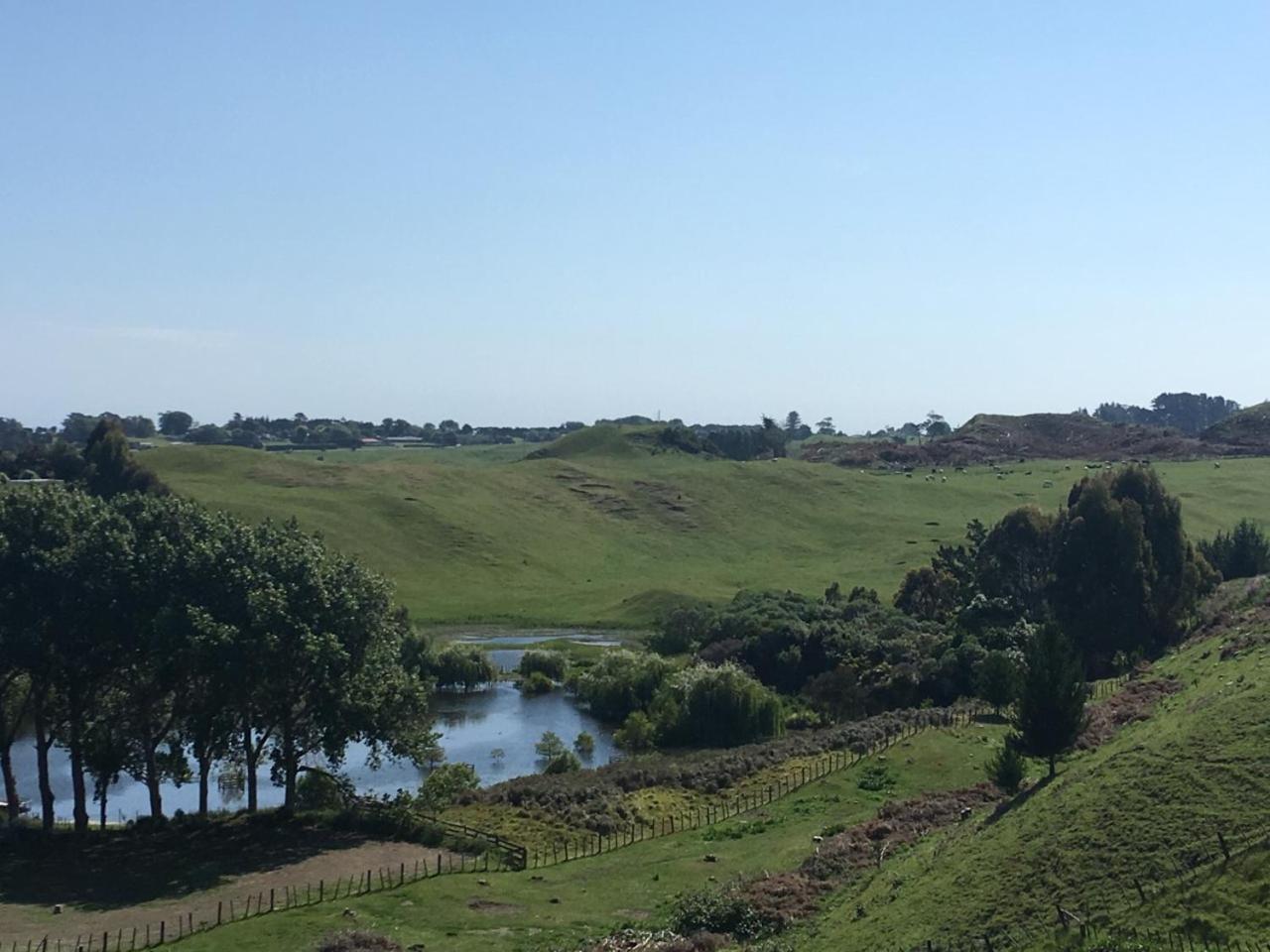 Little House On The Hill Villa Whanganui Bagian luar foto